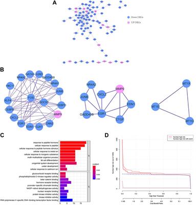 Identification of biomarkers in nonalcoholic fatty liver disease: A machine learning method and experimental study